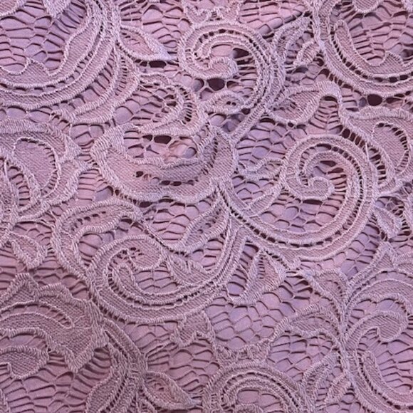 Adrianna Papell Lace Blouse & Counterparts Slim Pants Set – Size L Top / 12 Pant - Picture 7 of 11